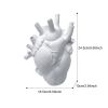 Vase In The Shape Of Human Heart, Home Decoration, Desktop Art Craft Ornament, Exquisite And High-end Indoor Vase, Organ Design Flower Container